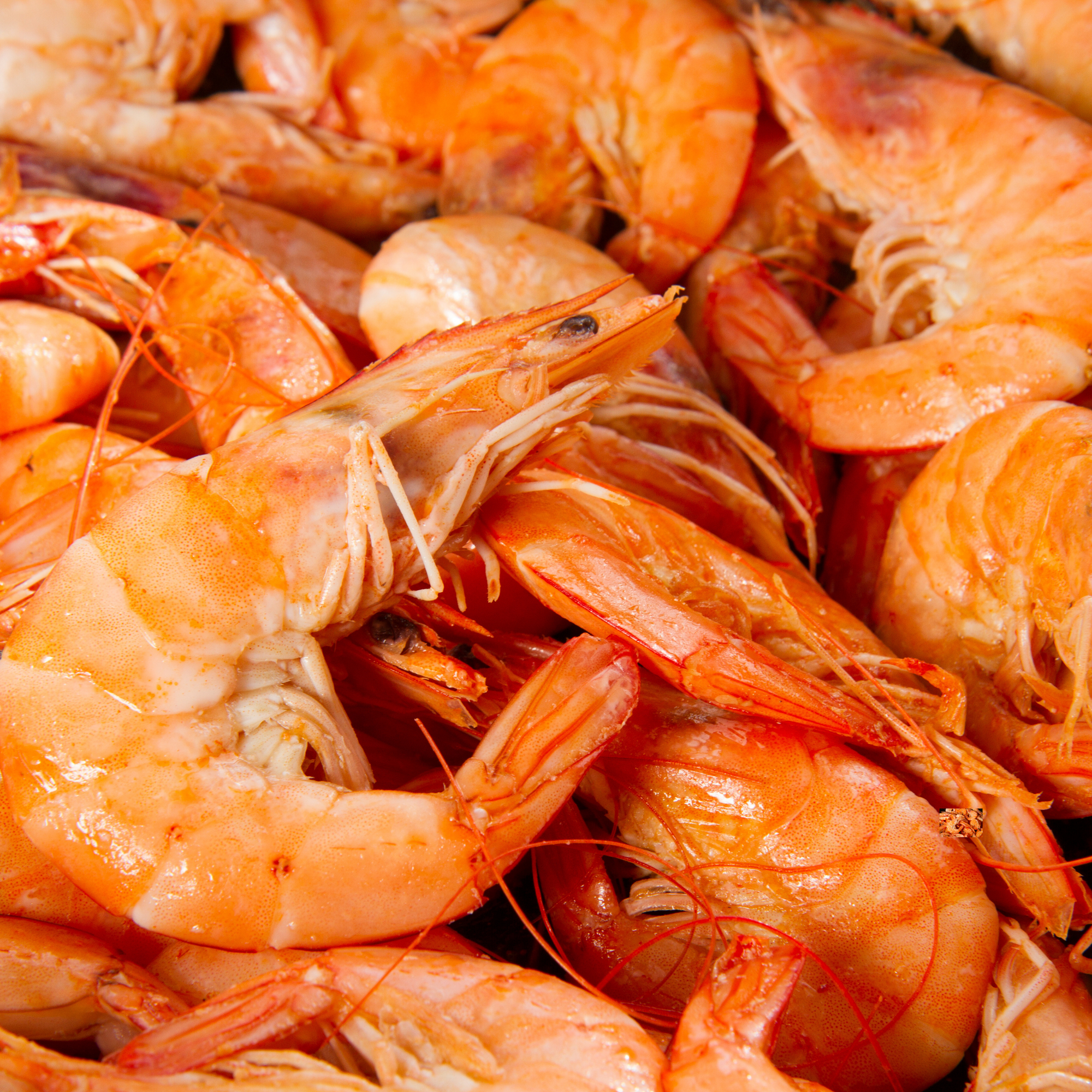 10 Shells-On Prawns